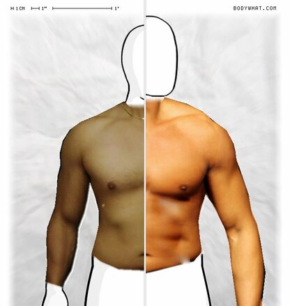 Torso Comparison