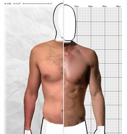 Torso Comparison
