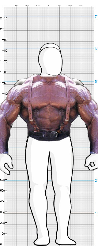 Full Size Comparison