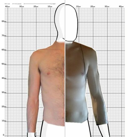 Torso Comparison