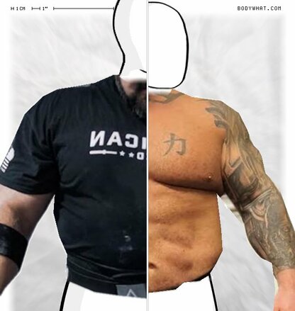 Torso Comparison