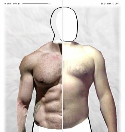 Torso Comparison