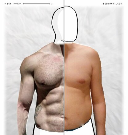 Torso Comparison
