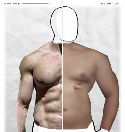 Torso Comparison
