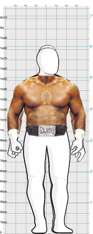 Full Size Comparison