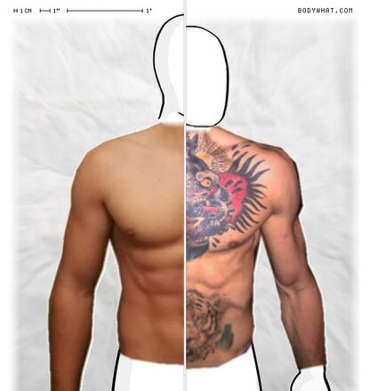 Torso Comparison