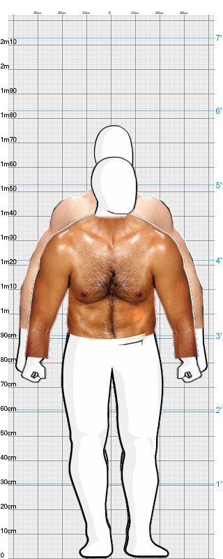 Full Size Comparison