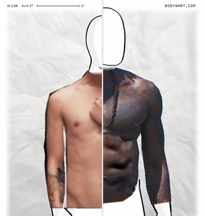 Torso Comparison
