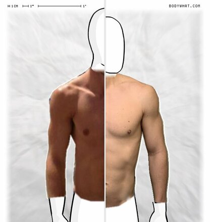 Torso Comparison