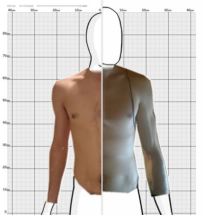 Torso Comparison
