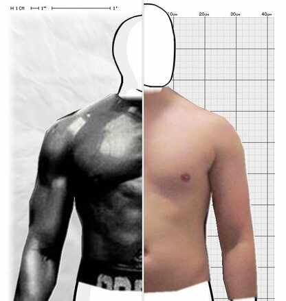 Torso Comparison