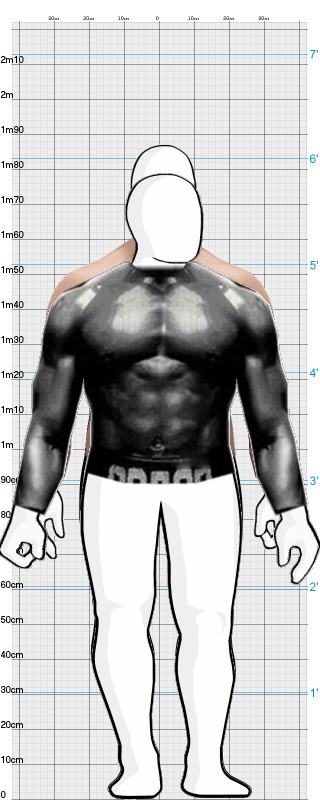 Full Size Comparison