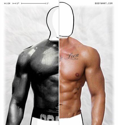 Torso Comparison