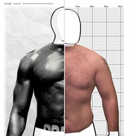 Torso Comparison