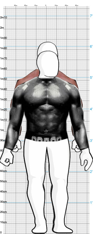 Full Size Comparison