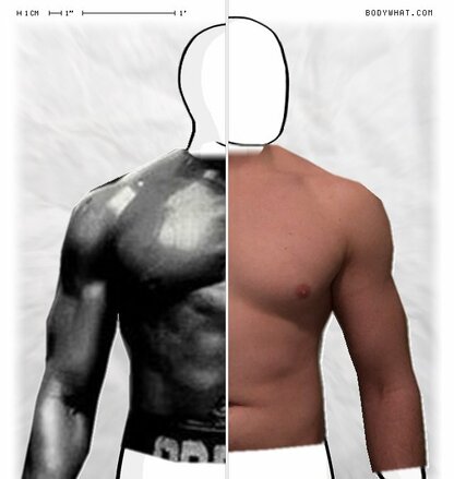 Torso Comparison