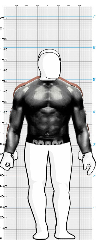 Full Size Comparison