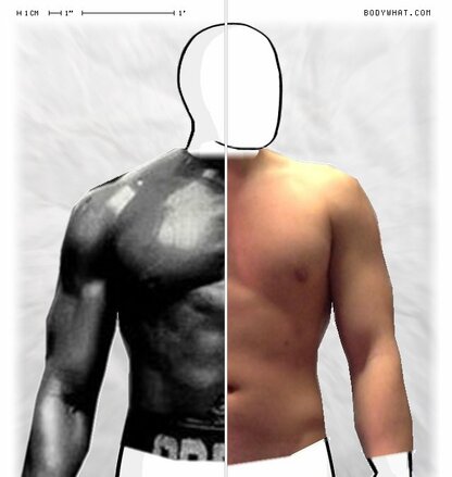 Torso Comparison