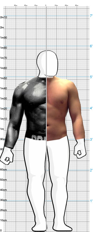 Full Size Comparison