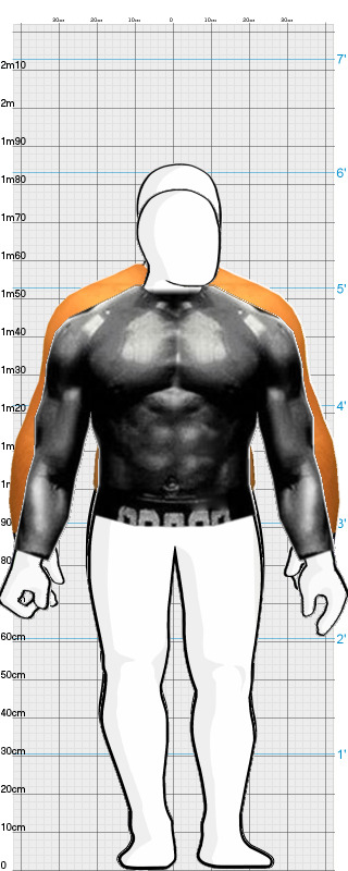 Full Size Comparison