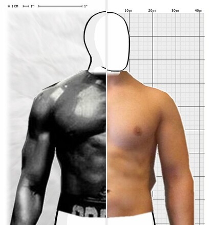 Torso Comparison