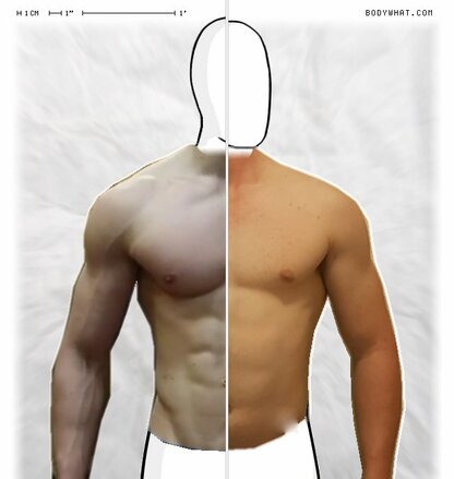 Torso Comparison