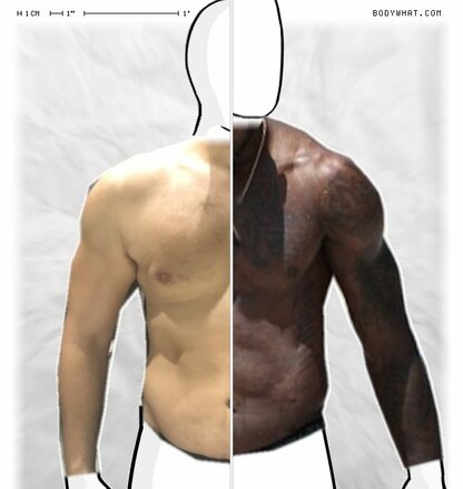 Torso Comparison