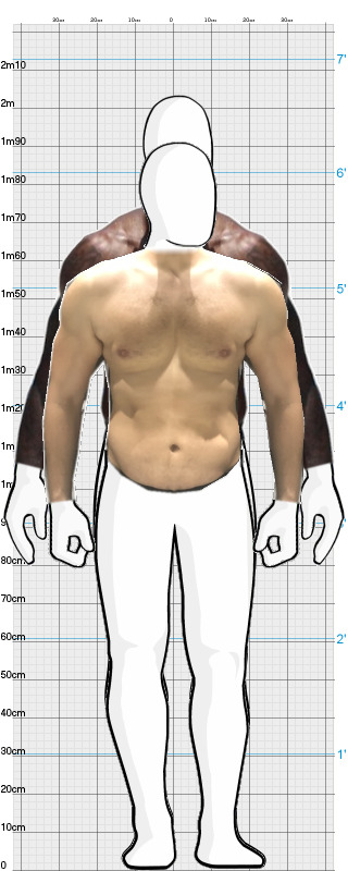 Full Size Comparison