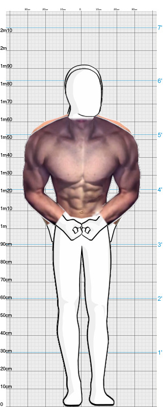 Full Size Comparison