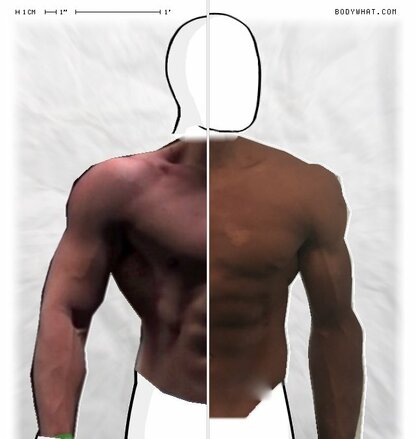 Torso Comparison