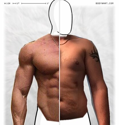 Torso Comparison
