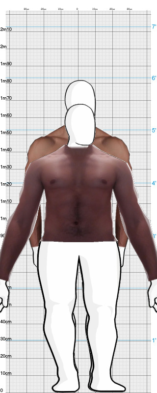 Full Size Comparison