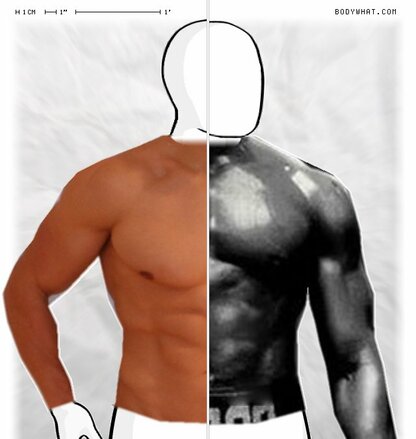 Torso Comparison