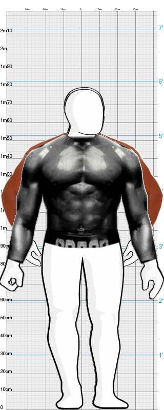 Full Size Comparison