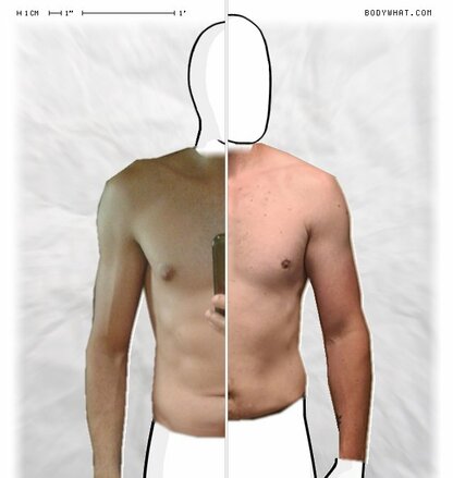 Torso Comparison