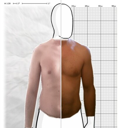 Torso Comparison