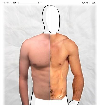 Torso Comparison