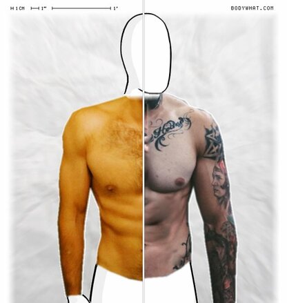 Torso Comparison