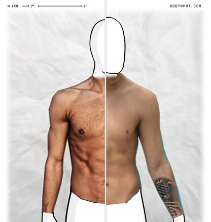 Torso Comparison