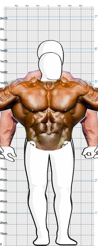 Full Size Comparison