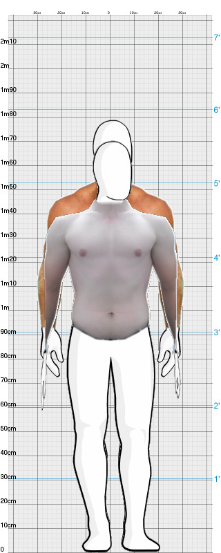 Full Size Comparison