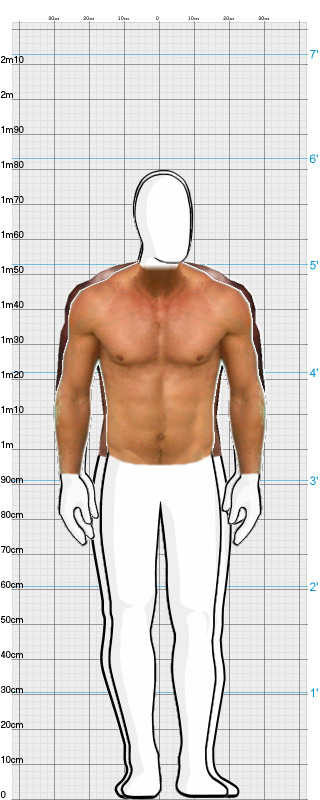 Full Size Comparison