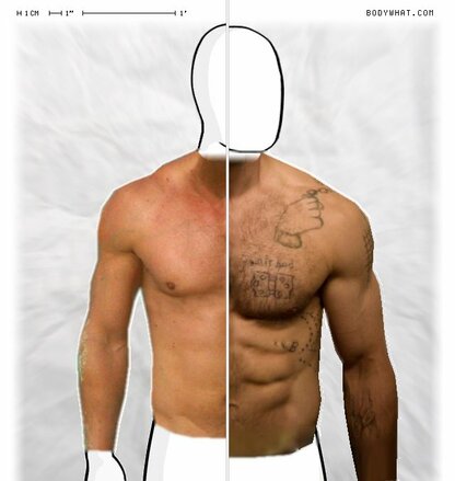 Torso Comparison