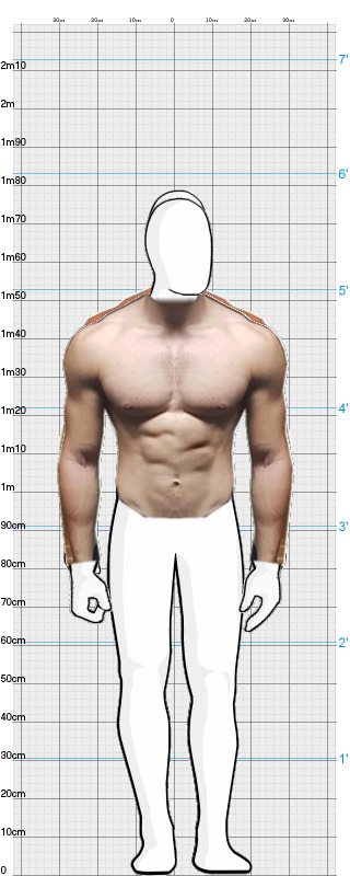 Full Size Comparison