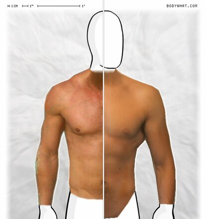 Torso Comparison