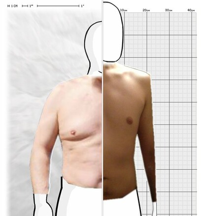 Torso Comparison