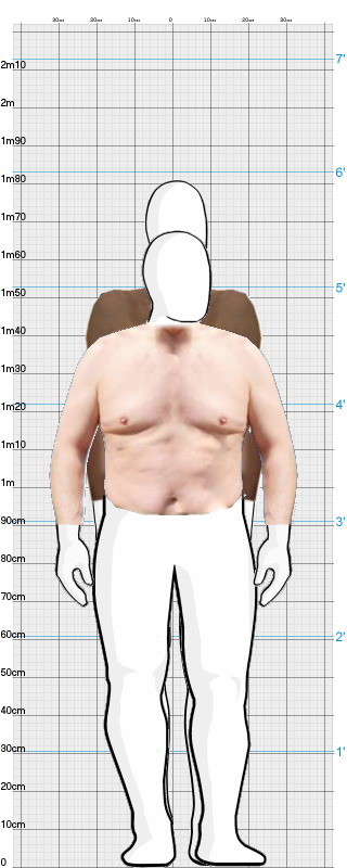 Full Size Comparison