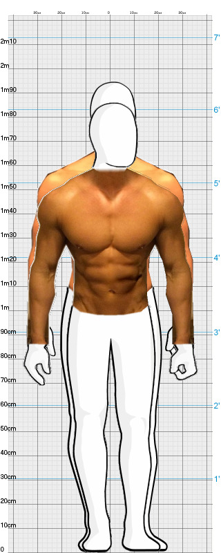 Full Size Comparison