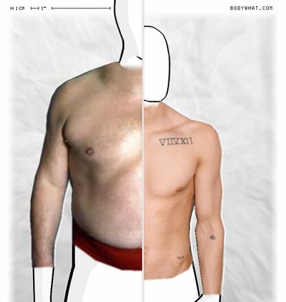 Torso Comparison