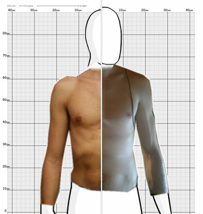Torso Comparison